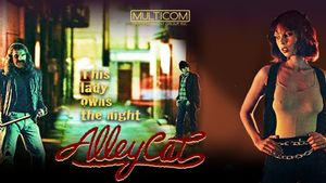 Alley Cat's poster