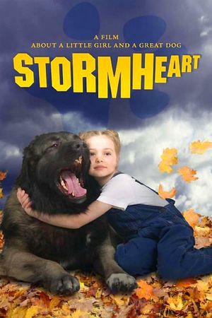 Stormheart's poster
