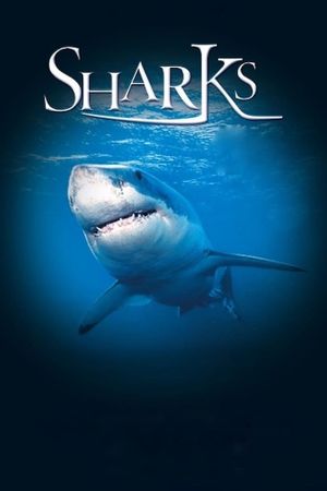 Sharks 3D's poster