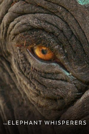 The Elephant Whisperers's poster