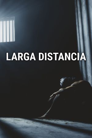 Larga distancia's poster