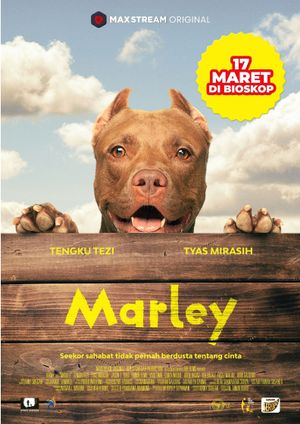 Marley's poster