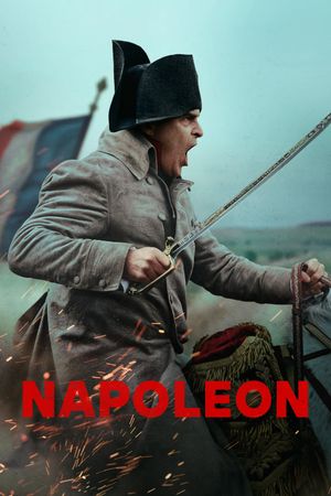 Napoleon's poster