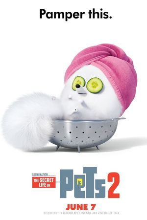 The Secret Life of Pets 2's poster