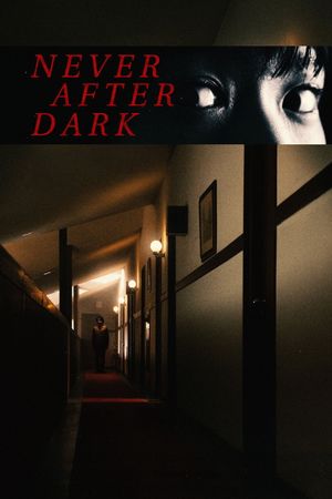 Never After Dark's poster