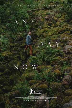 Any Day Now's poster
