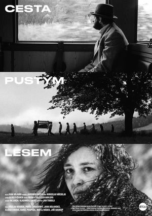 Cesta pustým lesem's poster