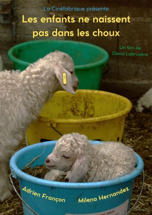 Les enfants ne naissent pas dans les choux's poster