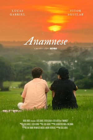Anamnese's poster