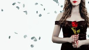 The Final Rose's poster