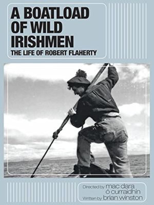 A Boatload of Wild Irishmen's poster image