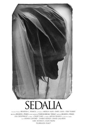 Sedalia's poster