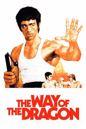 The Way of the Dragon's poster
