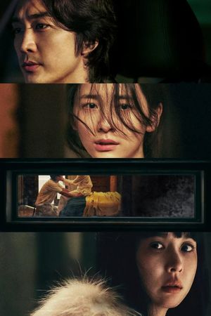 Hidden Face's poster