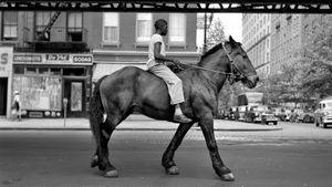 Finding Vivian Maier's poster