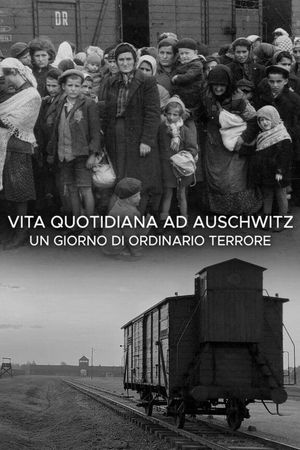 Vita quotidiana ad Auschwitz - Un giorno di ordinario terrore's poster