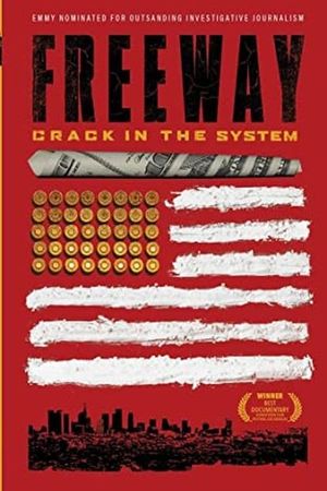 Freeway: Crack in the System's poster