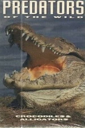 Predators of the Wild: Crocodiles and Alligators's poster