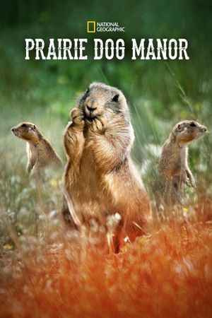 Prairie Dog Manor's poster