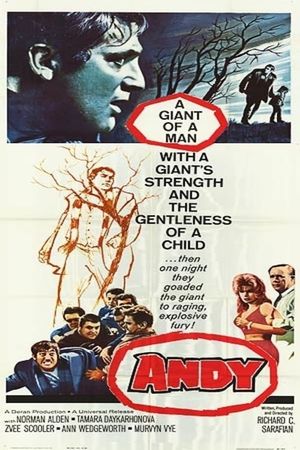 Andy's poster