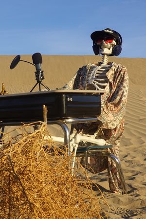 Dying in the Desert's poster