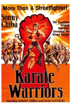 Karate Warriors's poster