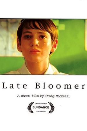 Late Bloomer's poster