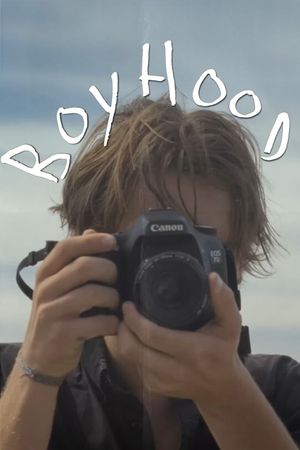 Boyhood's poster