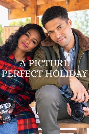 A Picture Perfect Holiday's poster