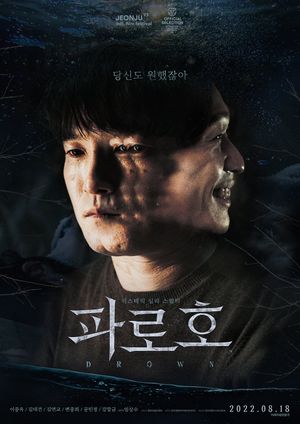 Drown's poster