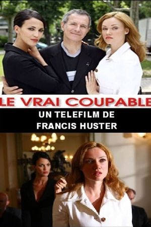 Le Vrai Coupable's poster image