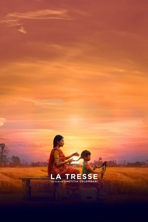The Braid's poster