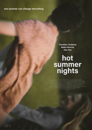 Hot Summer Nights's poster