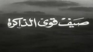 صيف قوي الذاكرة's poster