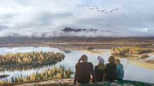 My Sweden - A Changing Wilderness's poster