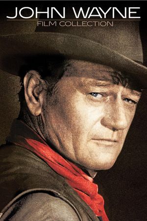 Chisum's poster