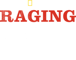 Raging Bull Shark's poster