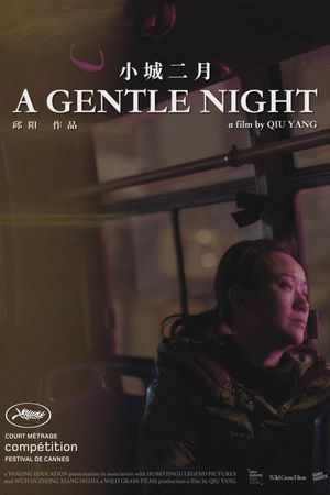 A Gentle Night's poster