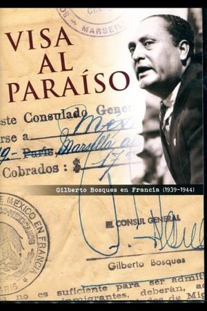 Visa al paraíso's poster