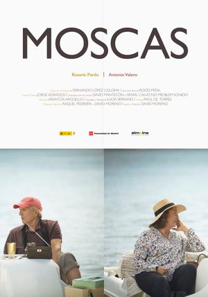 Flies's poster
