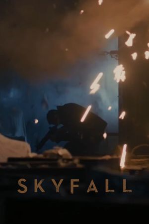 Skyfall's poster