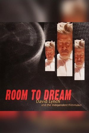 Scene from a David Lynch DV Project's poster