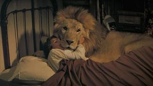 Roar's poster