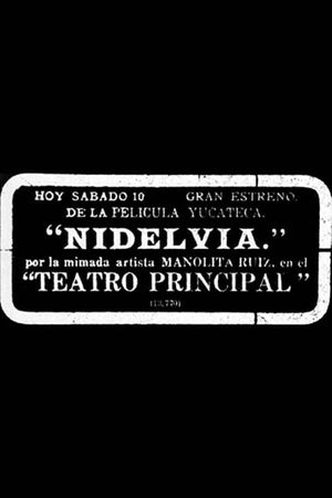 Nidelvia's poster