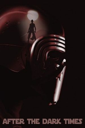 After the Dark Times's poster