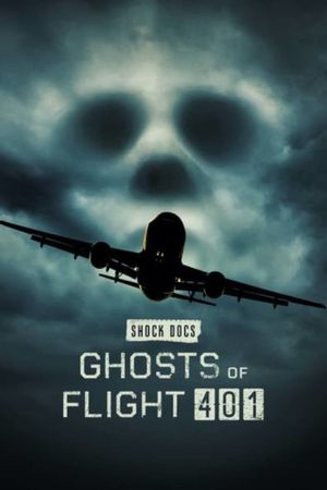 Ghosts of Flight 401's poster