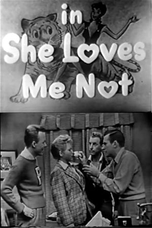 She Loves Me Not's poster