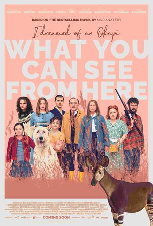 What You Can See from here's poster