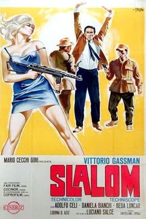Slalom's poster