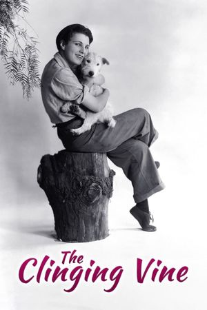The Clinging Vine's poster image